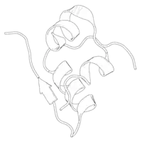 Black-and-white ribbon diagram of a pig insulin monomer.