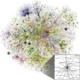 Map of the Internet