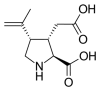 Stereo, skeletal formula of kainic acid