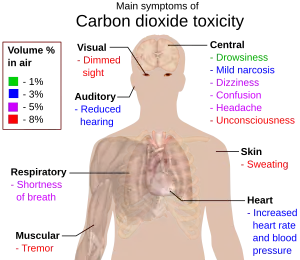 Symptoms of hypercapnia