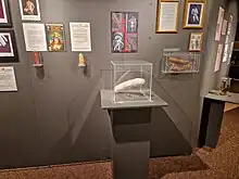 Plaster model of Matt Barr, the owner of the world's biggest penis, on display alongside other human casts at the Icelandic Phallological Museum