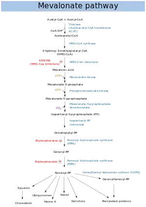 Chemical flow chart