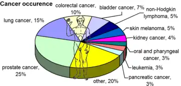 The most common cancers in US males, by occurrence, 2008.