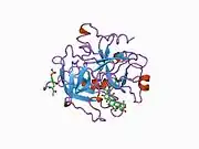 1awf: NOVEL COVALENT THROMBIN INHIBITOR FROM PLANT EXTRACT
