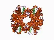 1c7b: DEOXY RHB1.0 (RECOMBINANT HEMOGLOBIN)