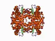 1cbl: THE 1.9 ANGSTROM STRUCTURE OF DEOXY-BETA4 HEMOGLOBIN: ANALYSIS OF THE PARTITIONING OF QUATERNARY-ASSOCIATED AND LIGAND-INDUCED CHANGES IN TERTIARY STRUCTURE