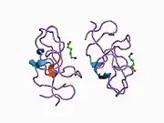 1cea: THE STRUCTURE OF THE NON-COVALENT COMPLEX OF RECOMBINANT KRINGLE 1 DOMAIN OF HUMAN PLASMINOGEN WITH EACA (EPSILON-AMINOCAPROIC ACID)