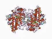1cxp: CRYOGENIC CRYSTAL STRUCTURE OF HUMAN MYELOPEROXIDASE ISOFORM C