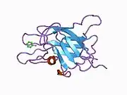 1czs: CRYSTAL STRUCTURE OF THE C2 DOMAIN OF HUMAN COAGULATION FACTOR V: COMPLEX WITH PHENYLMERCURY
