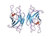1czv: CRYSTAL STRUCTURE OF THE C2 DOMAIN OF HUMAN COAGULATION FACTOR V: DIMERIC CRYSTAL FORM