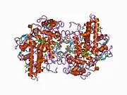 1d5l: CRYSTAL STRUCTURE OF CYANIDE-BOUND HUMAN MYELOPEROXIDASE ISOFORM C AT PH 5.5
