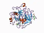 1d6w: STRUCTURE OF THROMBIN COMPLEXED WITH SELECTIVE NON-ELECTROPHILIC INHIBITORS HAVING CYCLOHEXYL MOIETIES AT P1