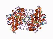 1d7w: CRYSTAL STRUCTURE OF HUMAN MYELOPEROXIDASE ISOFORM C COMPLEXED WITH CYANIDE AND BROMIDE AT PH 4.0