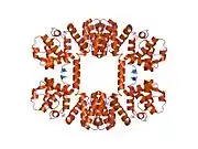 1dxx: N-TERMINAL ACTIN-BINDING DOMAIN OF HUMAN DYSTROPHIN