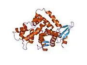 1eg3: STRUCTURE OF A DYSTROPHIN WW DOMAIN FRAGMENT IN COMPLEX WITH A BETA-DYSTROGLYCAN PEPTIDE
