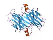 1etb: THE X-RAY CRYSTAL STRUCTURE REFINEMENTS OF NORMAL HUMAN TRANSTHYRETIN AND THE AMYLOIDOGENIC VAL 30-->MET VARIANT TO 1.7 ANGSTROMS RESOLUTION