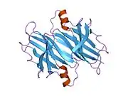 1fhn: TRANSTHYRETIN STABILITY AS A KEY FACTOR IN AMYLOIDOGENESIS