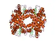 1gbv: (ALPHA-OXY, BETA-(C112G)DEOXY) T-STATE HUMAN HEMOGLOBIN