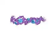 1gkg: STRUCTURE DETERMINATION AND RATIONAL MUTAGENESIS REVEAL BINDING SURFACE OF IMMUNE ADHERENCE RECEPTOR, CR1 (CD35)