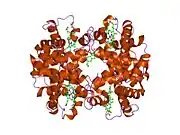 1hac: CROSSLINKED HAEMOGLOBIN