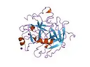 1hxe: SERINE PROTEASE