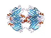 1ict: MONOCLINIC FORM OF HUMAN TRANSTHYRETIN COMPLEXED WITH THYROXINE (T4)