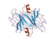 1iii: CRYSTAL STRUCTURE OF THE TRANSTHYRETIN MUTANT TTR Y114C-DATA COLLECTED AT ROOM TEMPERATURE