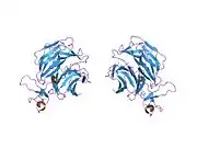 1ijq: Crystal Structure of the LDL Receptor YWTD-EGF Domain Pair