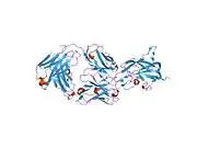 1iqd: Human Factor VIII C2 Domain complexed to human monoclonal BO2C11 Fab.