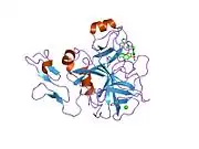 1iqi: Human coagulation factor Xa in complex with M55125
