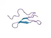 1ixa: THE THREE-DIMENSIONAL STRUCTURE OF THE FIRST EGF-LIKE MODULE OF HUMAN FACTOR IX: COMPARISON WITH EGF AND TGF-A
