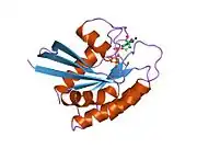 1jai: H-RAS P21 PROTEIN MUTANT G12P, COMPLEXED WITH GUANOSINE-5'-[BETA,GAMMA-METHYLENE] TRIPHOSPHATE AND MANGANESE