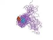 1jfn: SOLUTION STRUCTURE OF HUMAN APOLIPOPROTEIN(A) KRINGLE IV TYPE 6