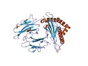 1jge: HLA-B*2705 bound to nona-peptide m9