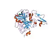 1klj: Crystal structure of uninhibited factor VIIa