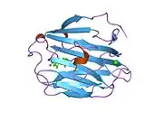 1lho: CRYSTAL STRUCTURE OF THE N-TERMINAL LG-DOMAIN OF SHBG IN COMPLEX WITH 5ALPHA-ANDROSTANE-3BETA,17BETA-DIOL