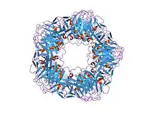1lj7: Crystal structure of calcium-depleted human C-reactive protein from perfectly twinned data