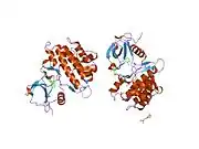 1m52: Crystal Structure of the c-Abl Kinase domain in complex with PD173955