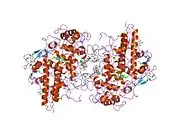 1mhl: CRYSTAL STRUCTURE OF HUMAN MYELOPEROXIDASE ISOFORM C CRYSTALLIZED IN SPACE GROUP P2(1) AT PH 5.5 AND 20 DEG C