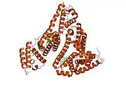 1n5u: X-RAY STUDY OF HUMAN SERUM ALBUMIN COMPLEXED WITH HEME