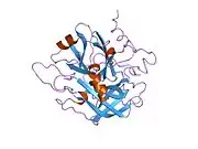 1nrn: CRYSTALLOGRAPHIC STRUCTURES OF THROMBIN COMPLEXED WITH THROMBIN RECEPTOR PEPTIDES: EXISTENCE OF EXPECTED AND NOVEL BINDING MODES