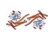 1nu9: Staphylocoagulase-Prethrombin-2 complex