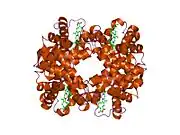 1o1n: Deoxy hemoglobin (A-GLYGLYGLY-C:V1M,L29W; B,D:V1M)