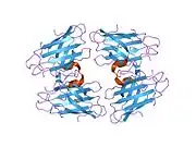 1oez: ZN HIS46ARG MUTANT OF HUMAN CU, ZN SUPEROXIDE DISMUTASE