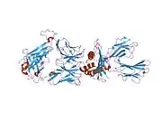 1oga: A STRUCTURAL BASIS FOR IMMUNODOMINANT HUMAN T-CELL RECEPTOR RECOGNITION.