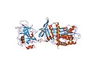 1oph: NON-COVALENT COMPLEX BETWEEN ALPHA-1-PI-PITTSBURGH AND S195A TRYPSIN
