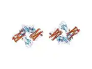 1pgr: 2:2 COMPLEX OF G-CSF WITH ITS RECEPTOR