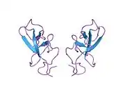 1pmk: KRINGLE-KRINGLE INTERACTIONS IN MULTIMER KRINGLE STRUCTURES