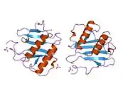 1qe6: INTERLEUKIN-8 WITH AN ADDED DISULFIDE BETWEEN RESIDUES 5 AND 33 (L5C/H33C)