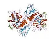 1r46: Structure of human alpha-galactosidase